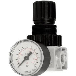 Gyors szállítás GAV nyomásszabályzó nyomásmérővel 1/4˝ R-180