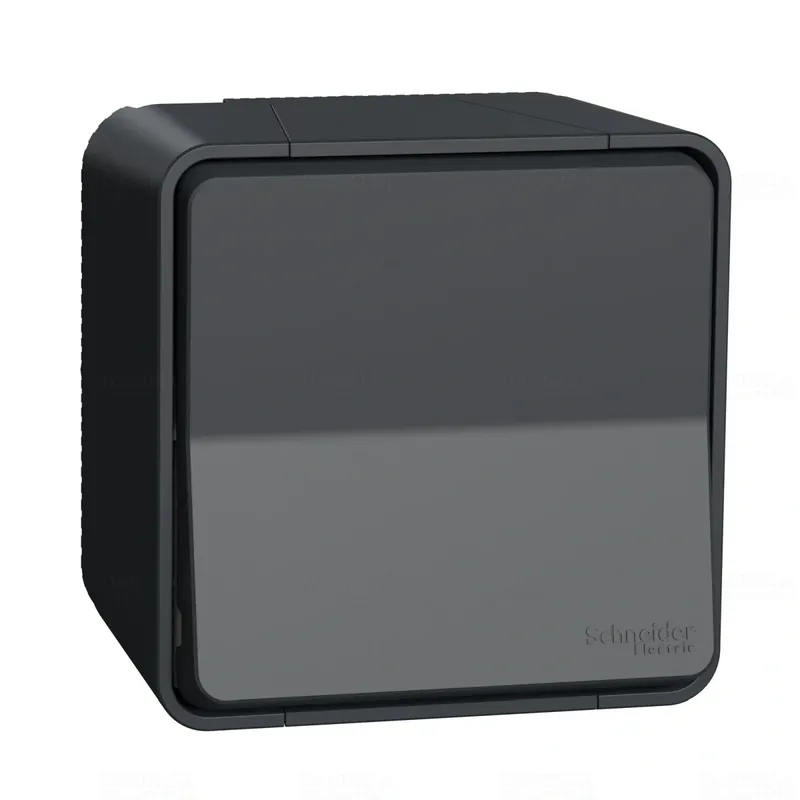 MUREVA Styl Kétpólusú kapcsoló, 16 AX, komplett (102), IP55, antracitszürke MUR35033 Schneider Akció