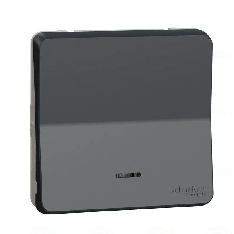 MUREVA Styl Egypólusú nyomó, jelzőfénnyel, IP55, antracitszürke MUR35127 Schneider Vedd meg most