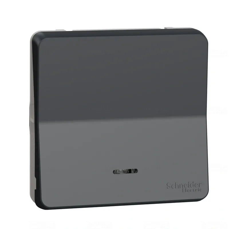 MUREVA Styl Váltókapcsoló, fényjelzős (jelző vagy ellenőrző), IP55, antracitszürke MUR35025 Schneider Népszerű