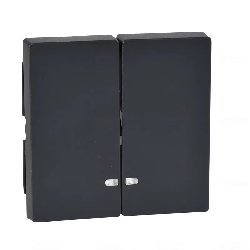 Expressz szállítás MERTEN Dupla billentyű, fényjelzős funkciókhoz, System-M, antracit MTN3420-0414 Schneider