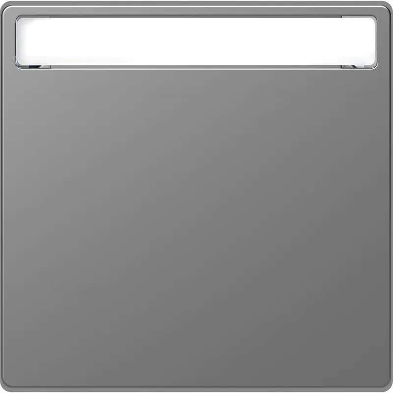 Kiárusítás MERTEN Feliratozható billentyű, D-Life, acél MTN3360-6036 Schneider