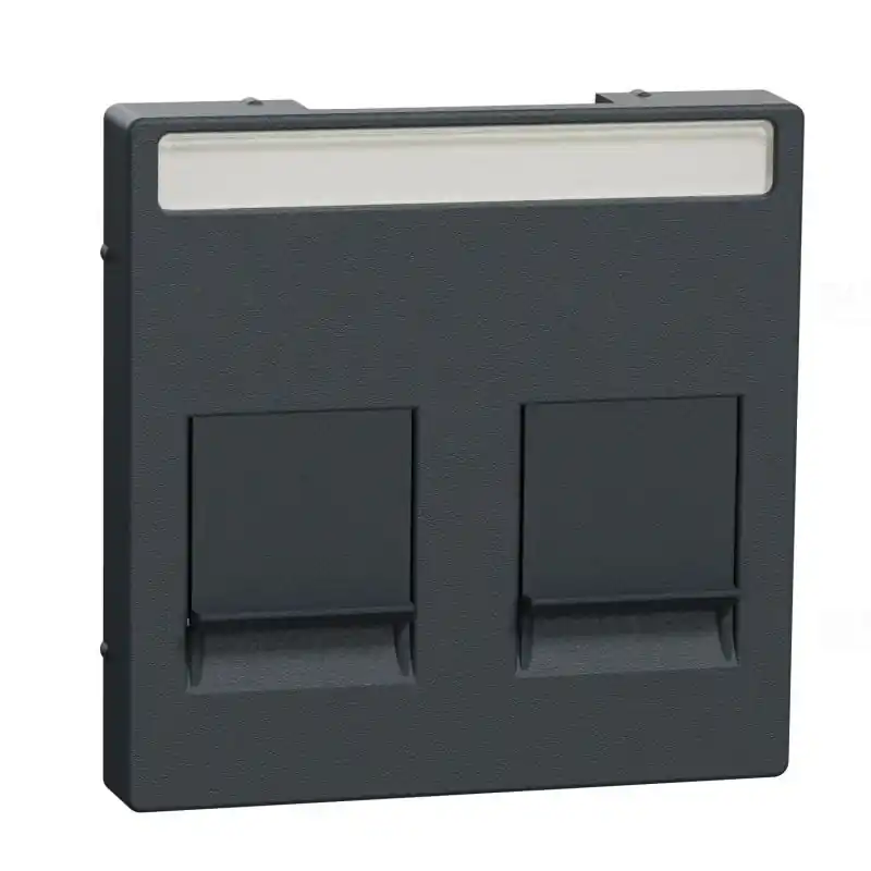 Ingyenes szállítás MERTEN Fedlap, 2xRJ45 moduláris betétekhez, feliratozható, System-M, antracit MEG4564-0414 Schneider