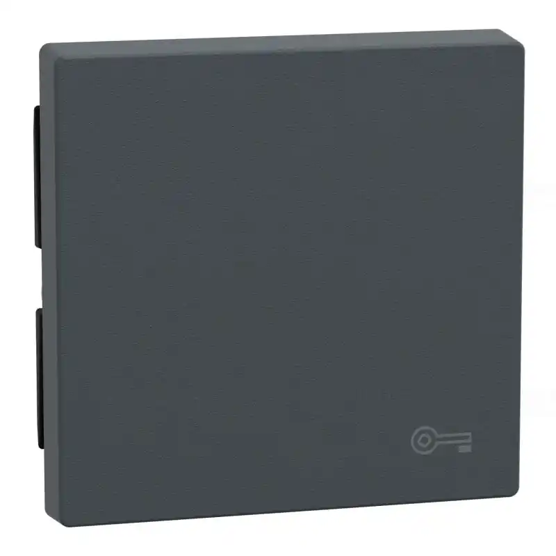 MERTEN Billentyű, kulcsjellel, System-M, antracit MEG3303-0414 Schneider Legjobb ár