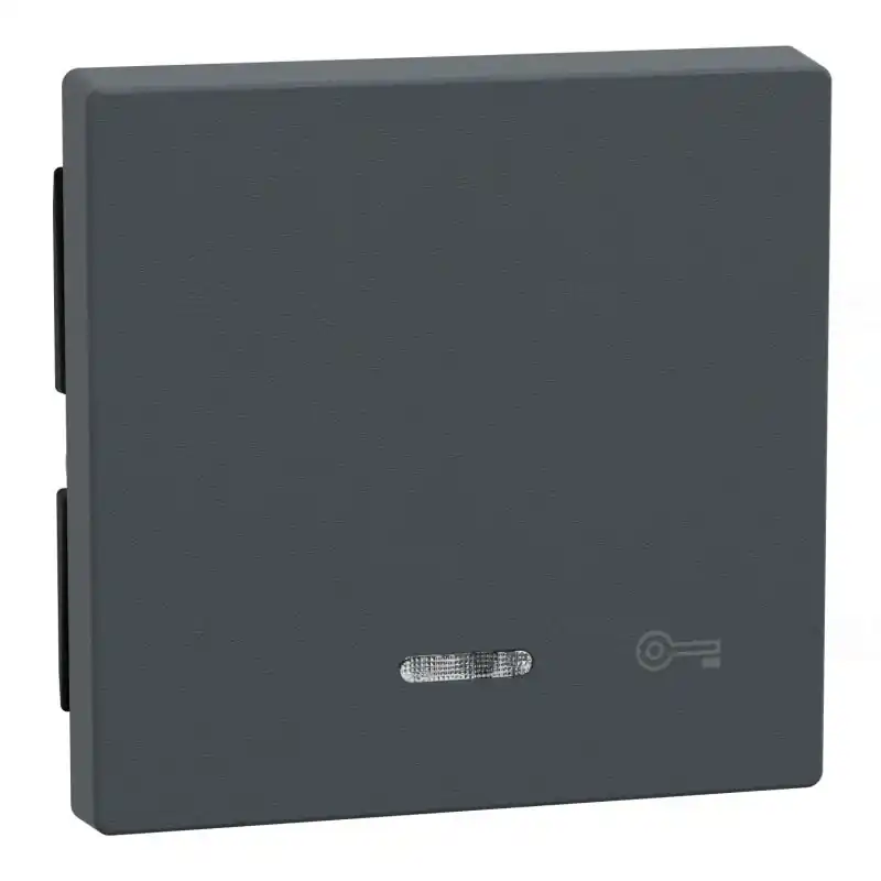 Ajánlat MERTEN Billentyű, kulcsjellel, jelzőfényes funkciókhoz, System-M, antracit 430714 Schneider